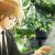 'Piano no Mori' TV Anime Announces Staff and Cast