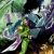 'Kamen Rider W' Sequel 'Fuuto Tantei' Gets Anime Adaptation