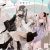 Q3 2026 Anime & Manga Licenses [Update 7/27]
