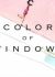 Color of Windows