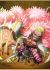 Donquixote Doflamingo FC