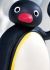 Pingu Fanclub