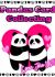 🐼Pandas Card Collecting🐼