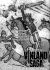 Vinland Saga