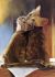 Cats Apurrrrrrreciation