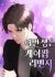 This Life is K-Pop Revenge
