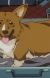 Ein, Cutest of the Cowboy Bebop crew and Smartest Dog in the Galaxy