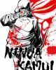 Ninja Kamui