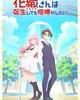 Hanaori-san wa Tensei shitemo Kenka ga Shitai