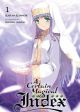 A Certain Magical Index (light novel)