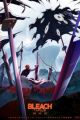 Bleach: Sennen Kessen-hen - Kashin-tan