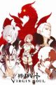 Shingeki no Bahamut: Virgin Soul
