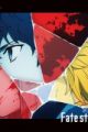 Fate/strange Fake (Shin Series)