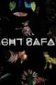 Night Safari