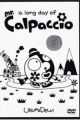 (a long day of) Mr. Calpaccio