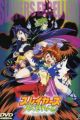 Slayers Excellent