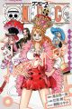 One Piece Novel: Heroines