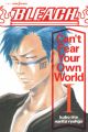 Bleach: Can't Fear Your Own World