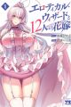 Erotical Wizard to 12-nin no Hanayome