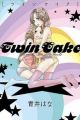 Twin Cake