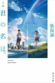 Shousetsu Kimi no Na wa.