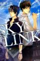 Sky Link