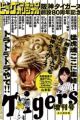 Hanshin Tigers Sousetsu 80-shuunen Kinen Zoukangou