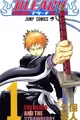 Bleach