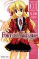 Fortune Arterial