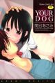 Your Dog