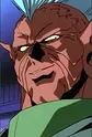 Shachi