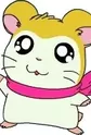 Mafura-chan
