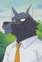 Mr. Wolf