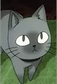Baabu