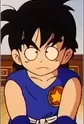 Chin, Shoken
