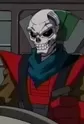 The Skull