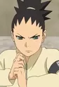 Nara, Shikadai