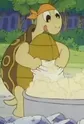 Torta
