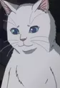 Yuki