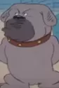 Matsugorou, Don