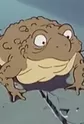Frog Prince