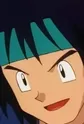 Hide