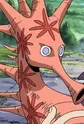 Noko