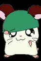 Kaburu-kun