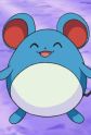 Marill Image
