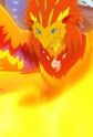 Gambar Karakter Phoenix