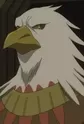 Condor, Hawk