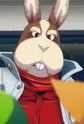 Hare, Peppy