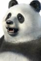 Gambar Karakter Panda