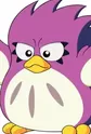 Coo